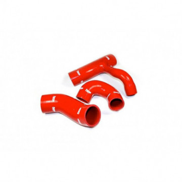 Silicone Intake Hoses for the Renault...